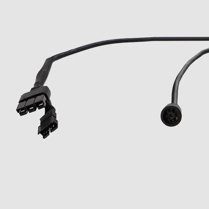 EBS IPS Adapterkabel 9-Pin - Motor, HIGO Auf EPMS - Image 2